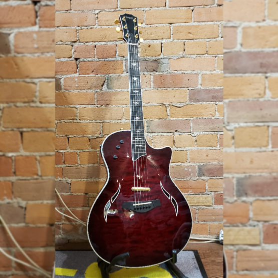 Toronto Pawn Product, 200 x 200_Taylor T5 Guitar